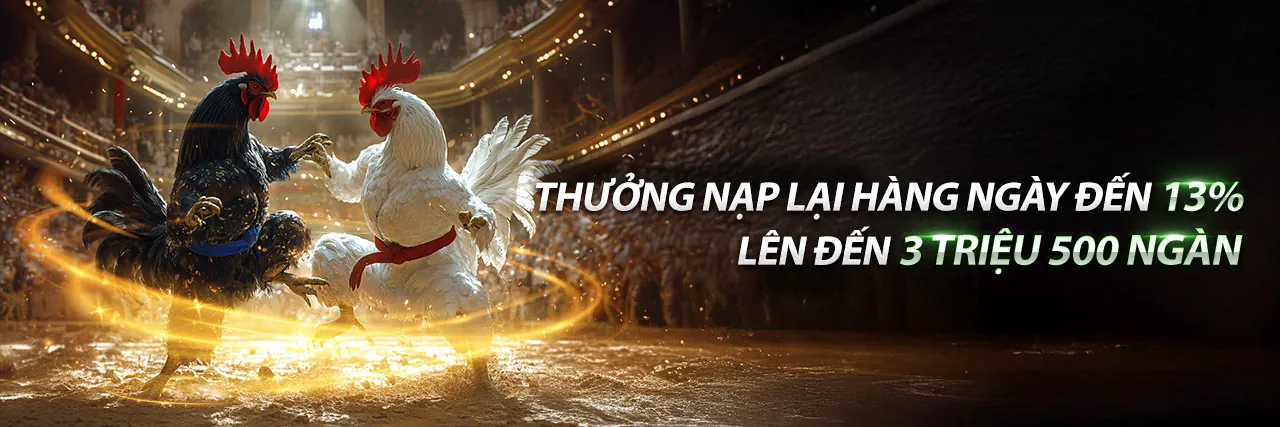 Cá Cược Thể Thao sodo66 nhà cái